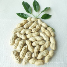 New Crop Chinese Wholesale Peanuts In Shell